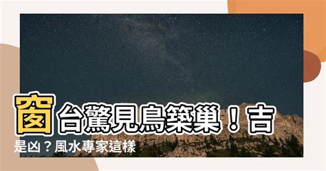 鳥在家裡築巢|【鳥築巢吉兆】迎祥納瑞：野鳥築巢，居家風水好兆頭！